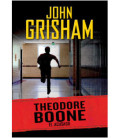 El acusado (Theodore Boone 3)