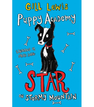 Puppy Academy: Star on Stormy Mountain