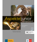 Aspekte junior B1+ interaktives Übungsbuch
