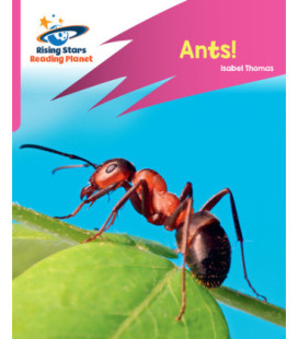 Ants!