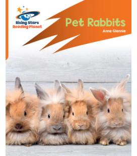 Pet rabbits