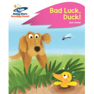 Bad luck, duck!