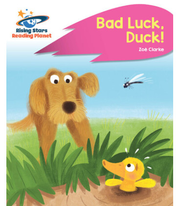 Bad luck, duck!