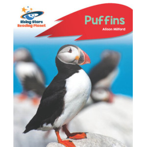 Puffins