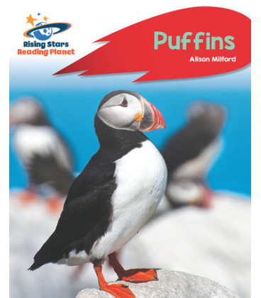 Puffins