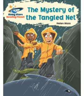 The mistery of the tangled net