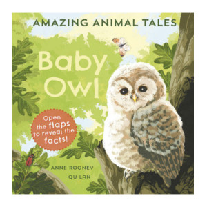 Amazing Animal Tales: Baby Owl