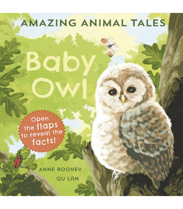 Amazing Animal Tales: Baby Owl