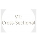 VT: Cross-sectional